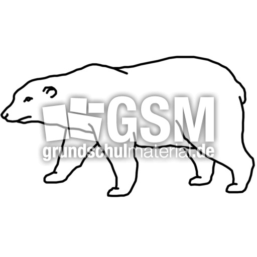 baer.jpg
